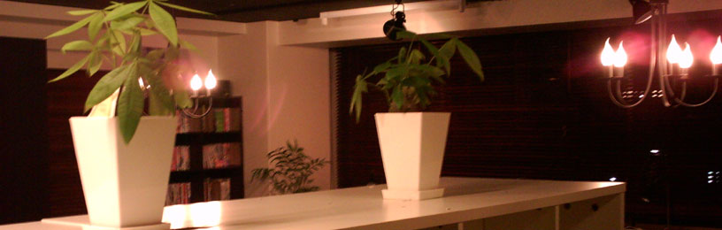 No.109 �ϗt�A��